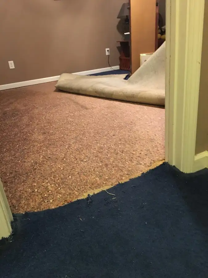 Carpet pad removal revealing water damage during Drying & Dehumidification in Centerville